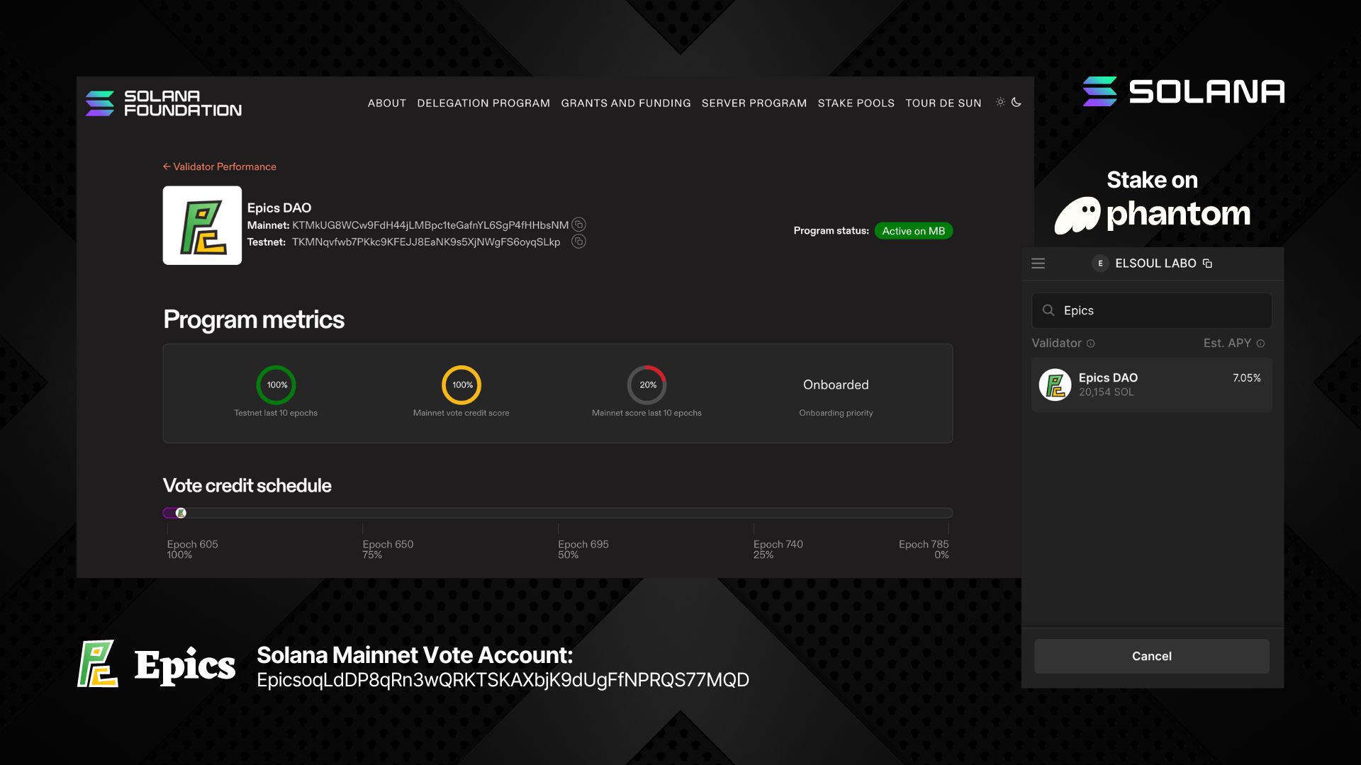 Epics DAO Solana Mainnet Validator